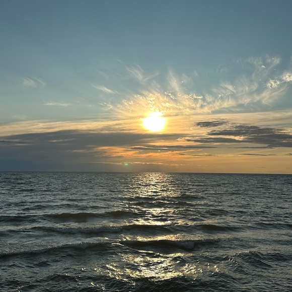 Meet your Posher, Rose - Picture 2 of 3